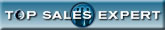 The Top Sales Experts widget