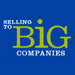 Selling To Big Companies Strategic Partner to TSE