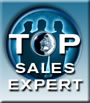 The Top Sales Experts widget