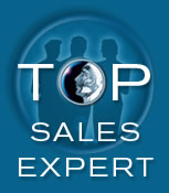 The Top Sales Experts widget
