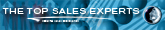 The Top Sales Experts widget
