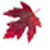 Top Sales Experts Fall E-Book leaf logo